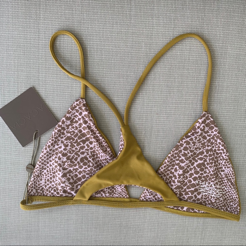 Acacia - Picture 3 of 7